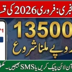 BISP 8171 Payment February 2026 Online Check – Rs. 13,500 Installment Status via 8171 Portal & SMS