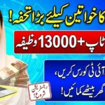 CM Maryam Nawaz Launches Free Digital Skills Program for Women 2026 – Free IT Training + Rs 13,000 Allowance