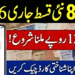 8171 Check Online 2026 – Complete Guide to BISP & Ehsaas Payment Status by CNIC