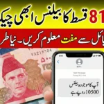 How to Check BISP Balance via 8171 in 2026 – Complete Step-by-Step Guide